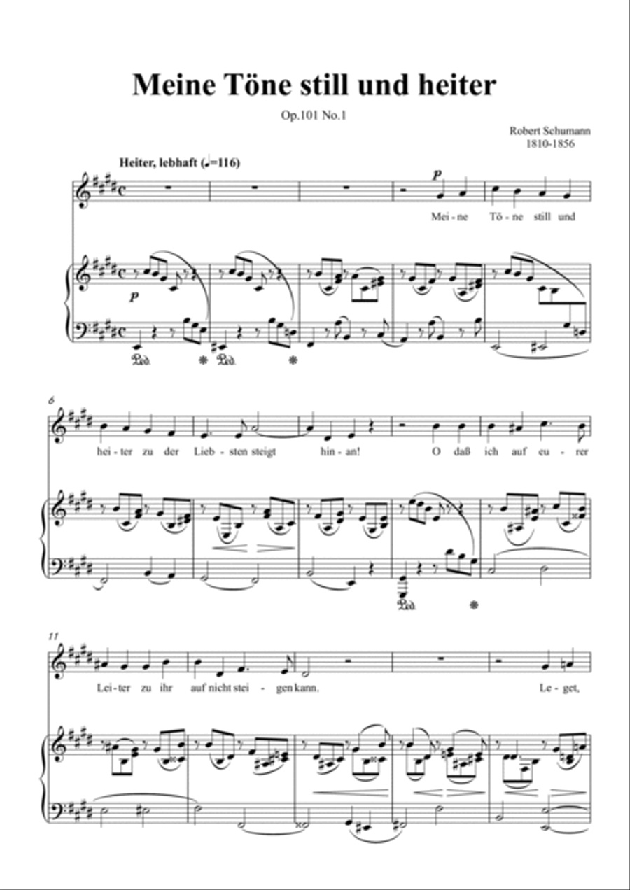 Schumann-Meine Töne still und heiter,Op.101 No.1 in E Major for Voice and Piano Voice Solo scores gallery preview page 2