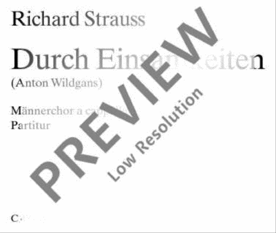 Durch Einsamkeiten Durch Einsamkeiten TTBB scores gallery preview page 2