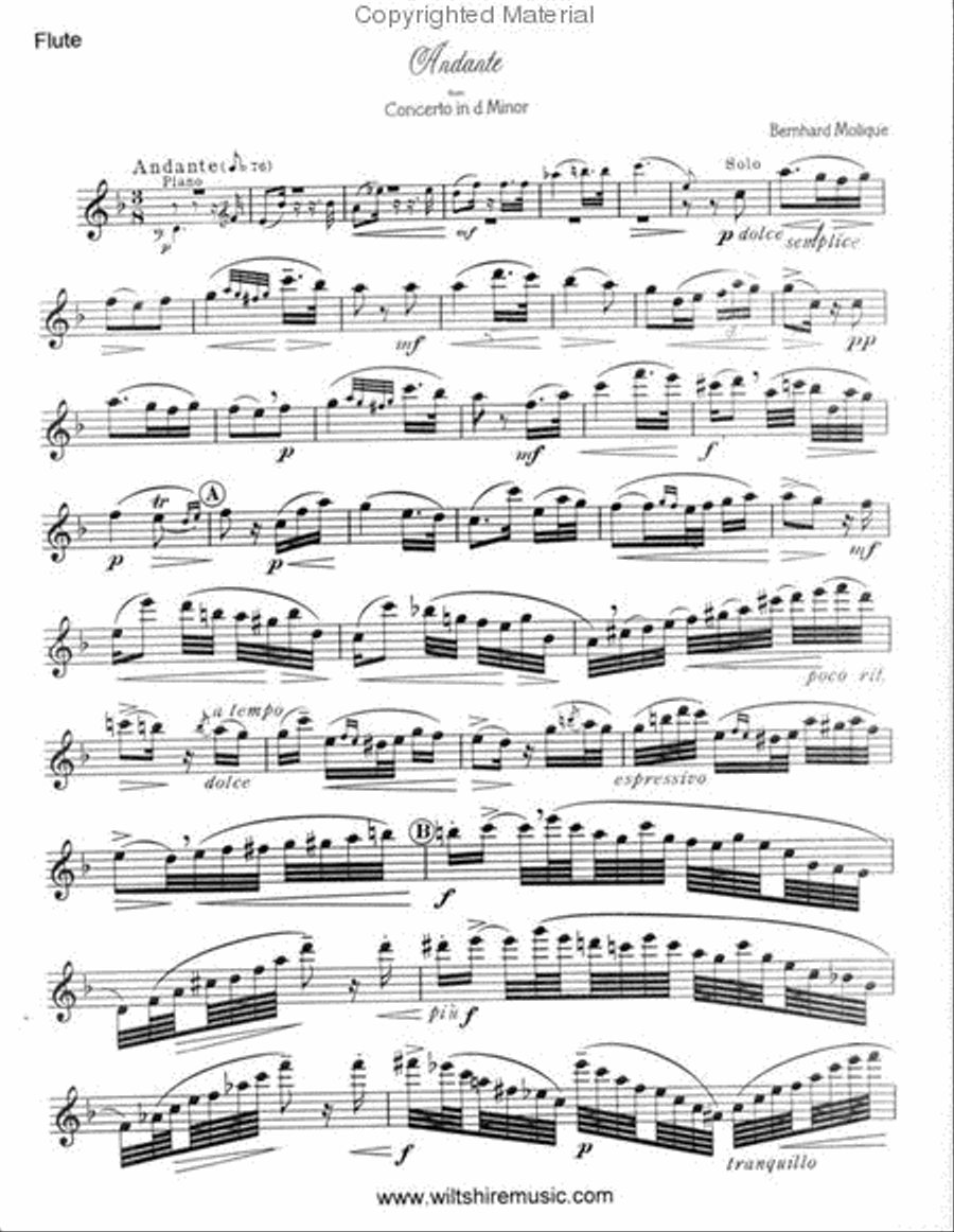 Andante from Concerto in d minor Flute Solo scores gallery preview page 2