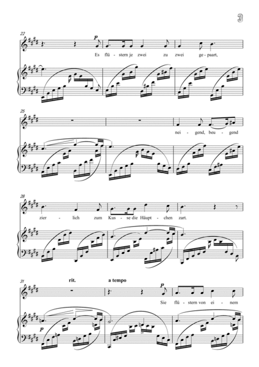 Schumann-Der Nussbaum in E Major