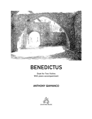 Book cover for Benedictus (2 Violins and piano)