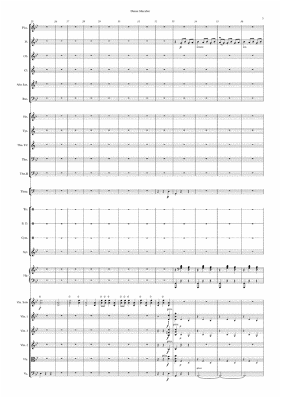 Danse Macabre Danse Macabre Full Orchestra scores gallery preview page 3