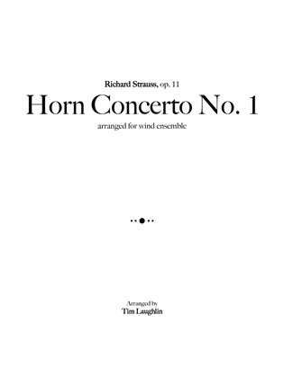 Horn Concerto No. 1 (R. Strauss, Band)