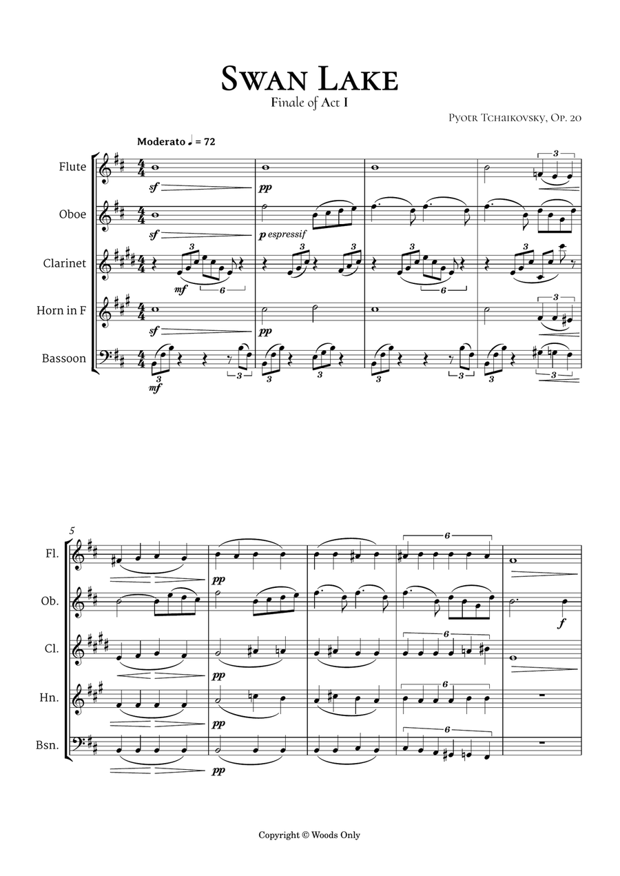 Top 5 Beautiful Classical Themes for Woodwind Quintet - 1st Version Woodwind Quintet scores gallery preview page 3