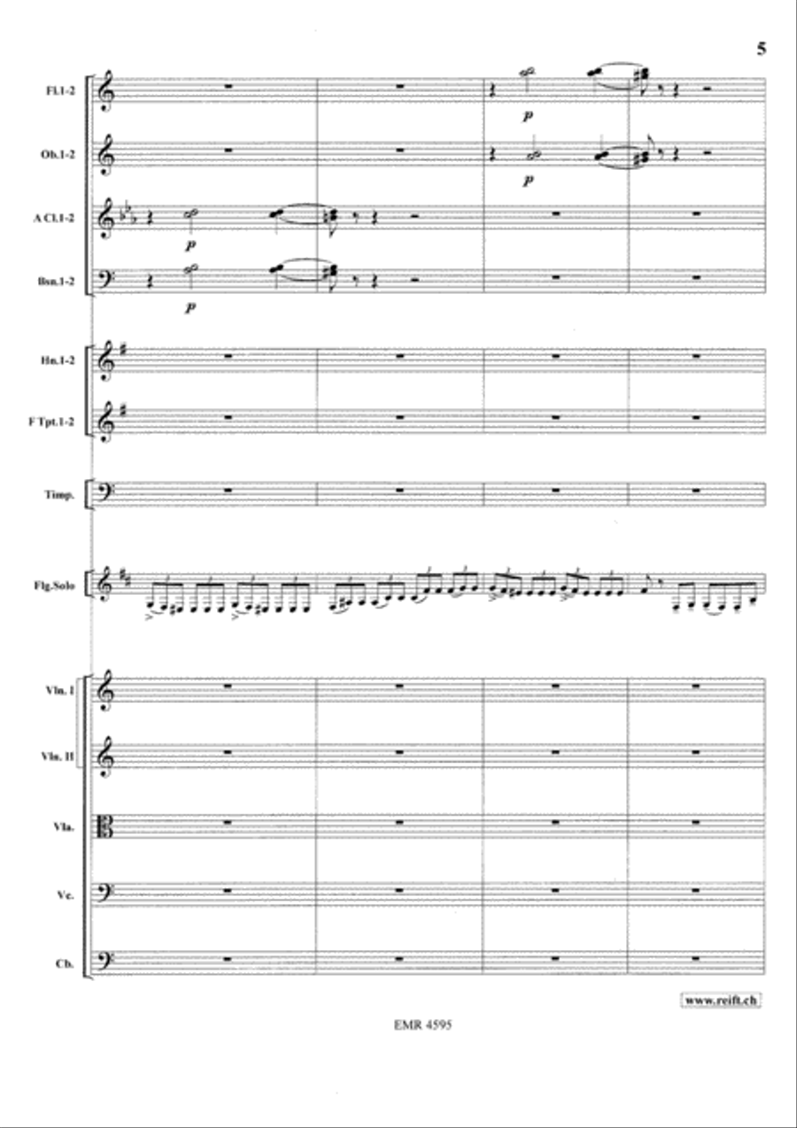 Concerto in A minor Orchestra scores gallery preview page 7
