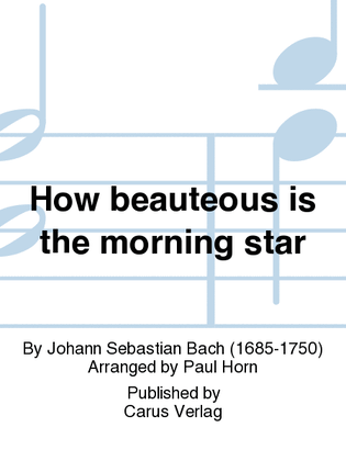 Wie schon leuchtet der Morgenstern (How beauteous is the morning star)