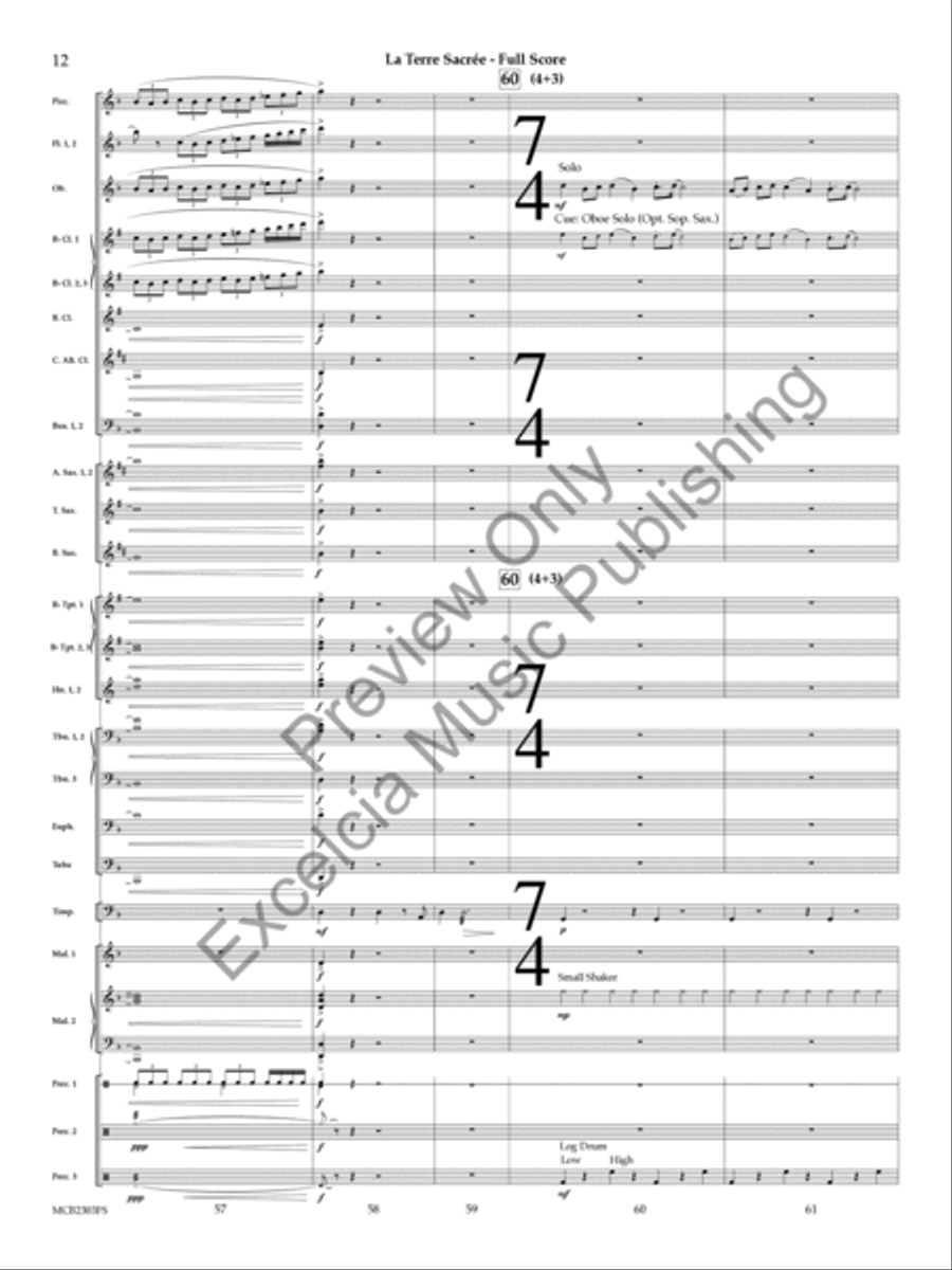 La Terre Sacrée (Score) La Terre Sacrée (Score) Concert Band scores gallery preview page 13