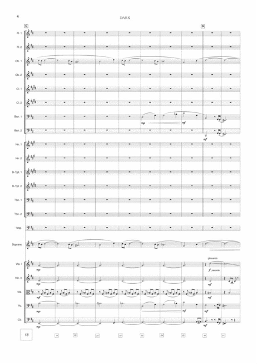 Dark Dark Full Orchestra scores gallery preview page 5