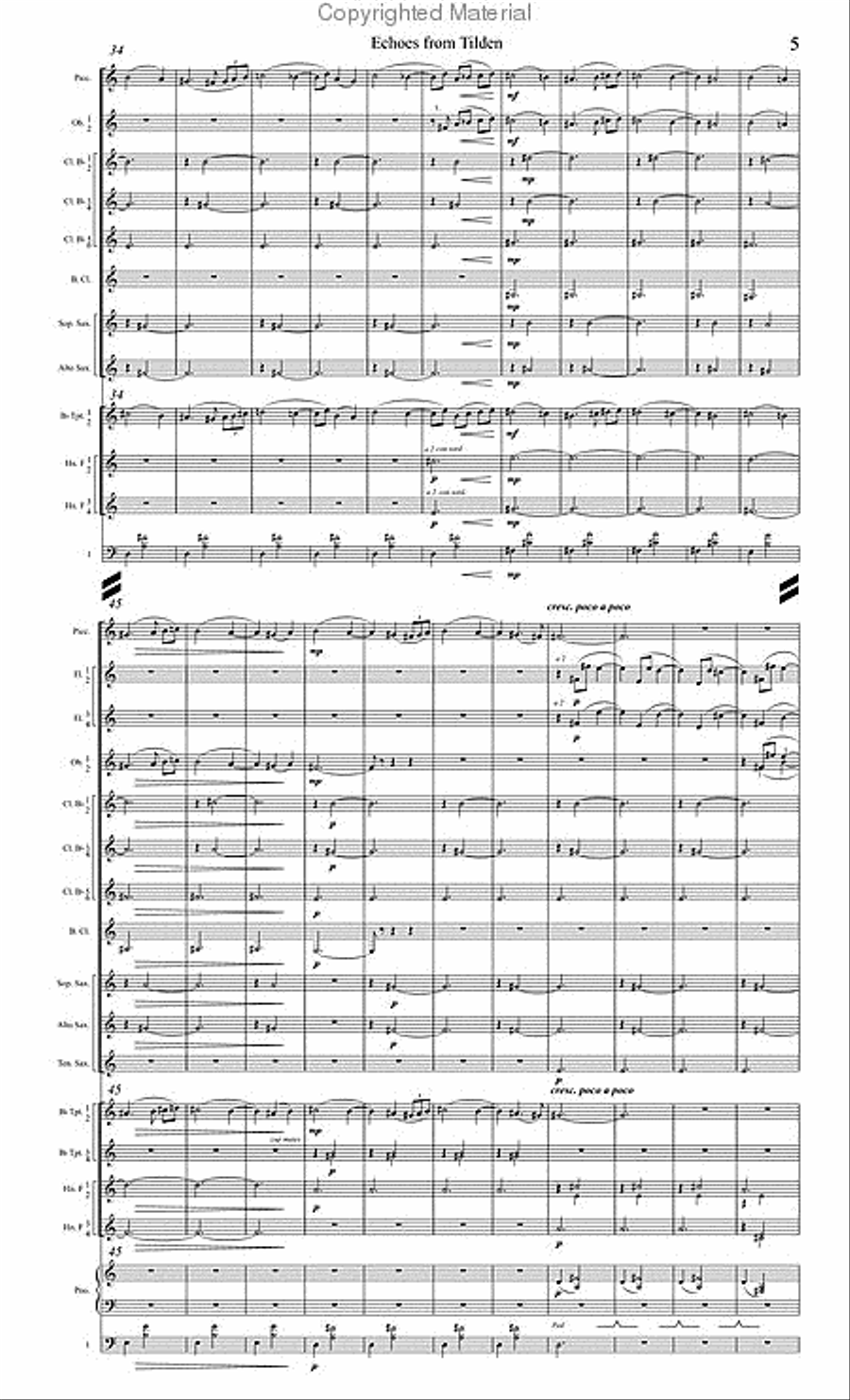 Echoes from Tilden Echoes from Tilden Concert Band scores gallery preview page 6