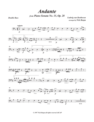 Andante from Piano Sonata 15 arranged for string orchestra (Double Bass part)