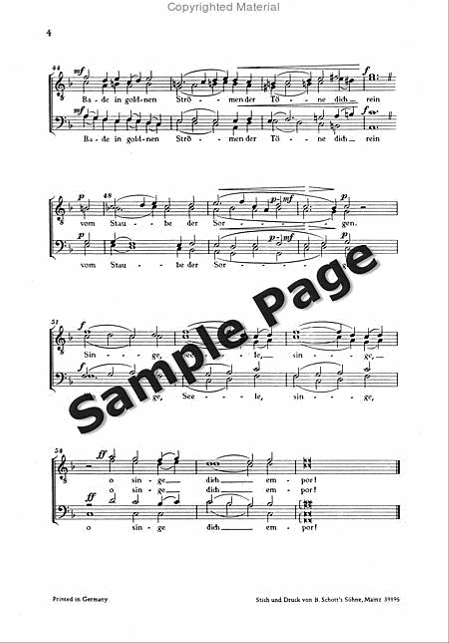 Wittmer El Festliche Hymne Men's Choir scores gallery preview page 5