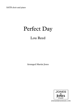 Book cover for Perfect Day