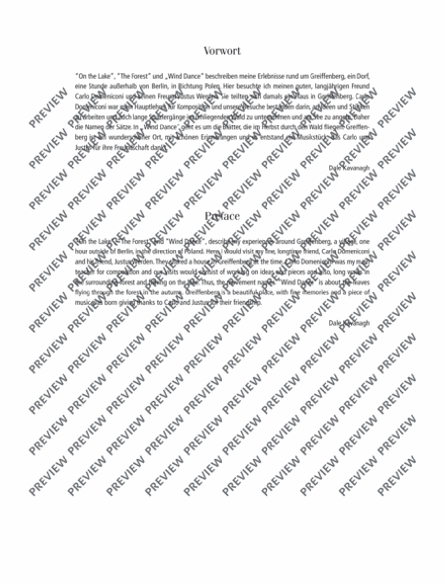 Tales of Greiffenberg Guitar scores gallery preview page 3