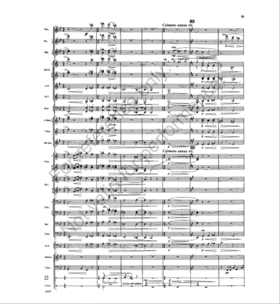 Contexture Concert Band scores gallery preview page 14