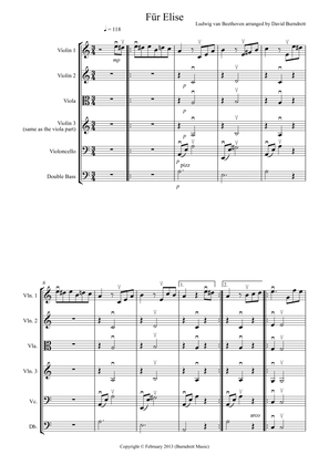 Für Elise for String Orchestra