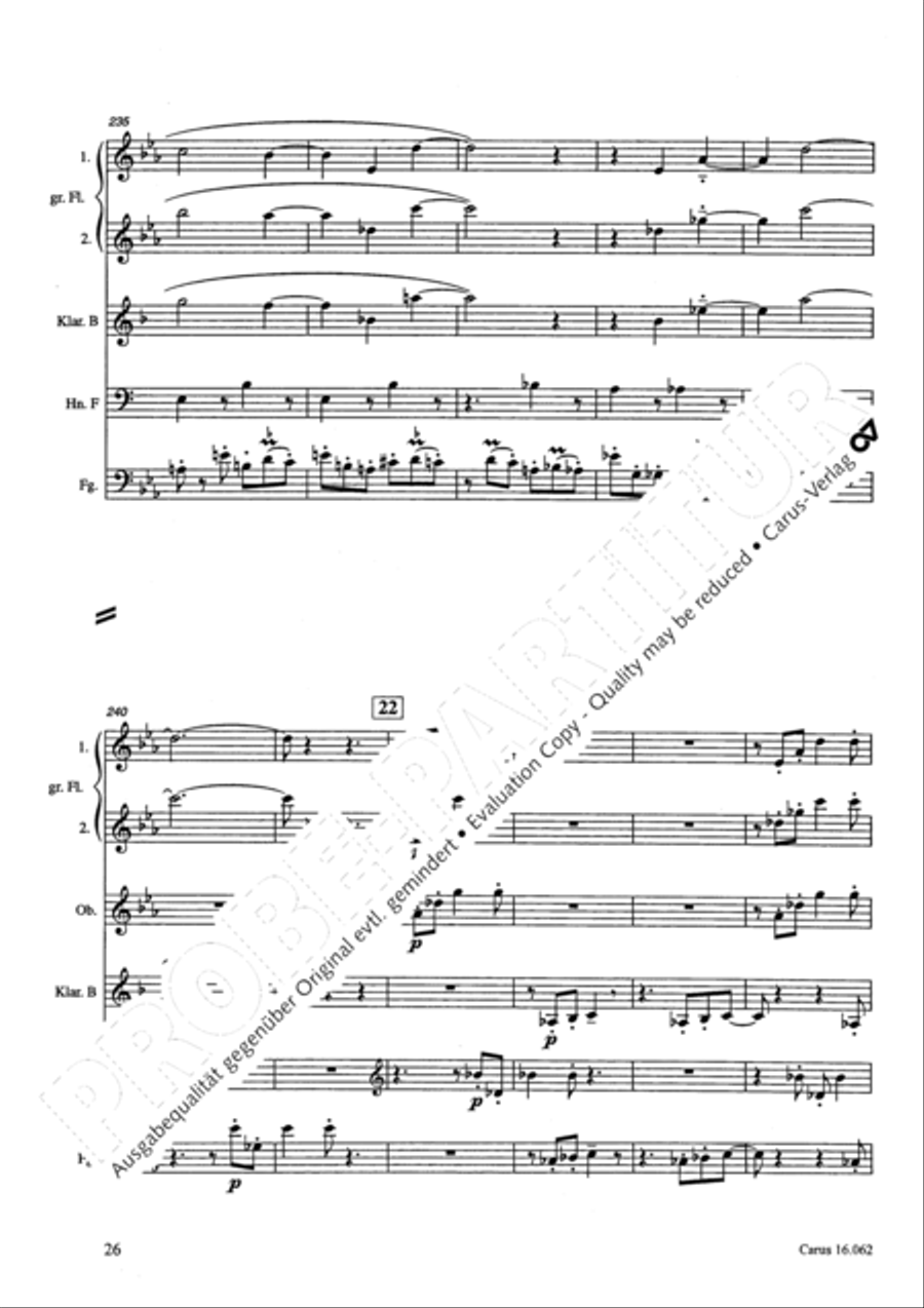 Musik fur sechs Blaser Musik fur sechs Blaser Bassoon scores gallery preview page 29