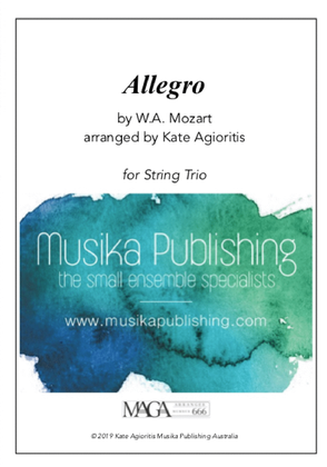 Book cover for Allegro - for String Trio