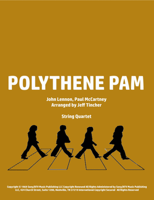 Book cover for Polythene Pam