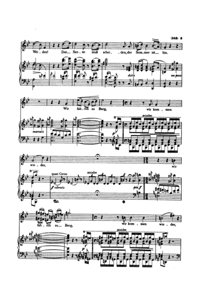 Liszt: Songs, Volume II, Nos. 14-25 (Italian or German)