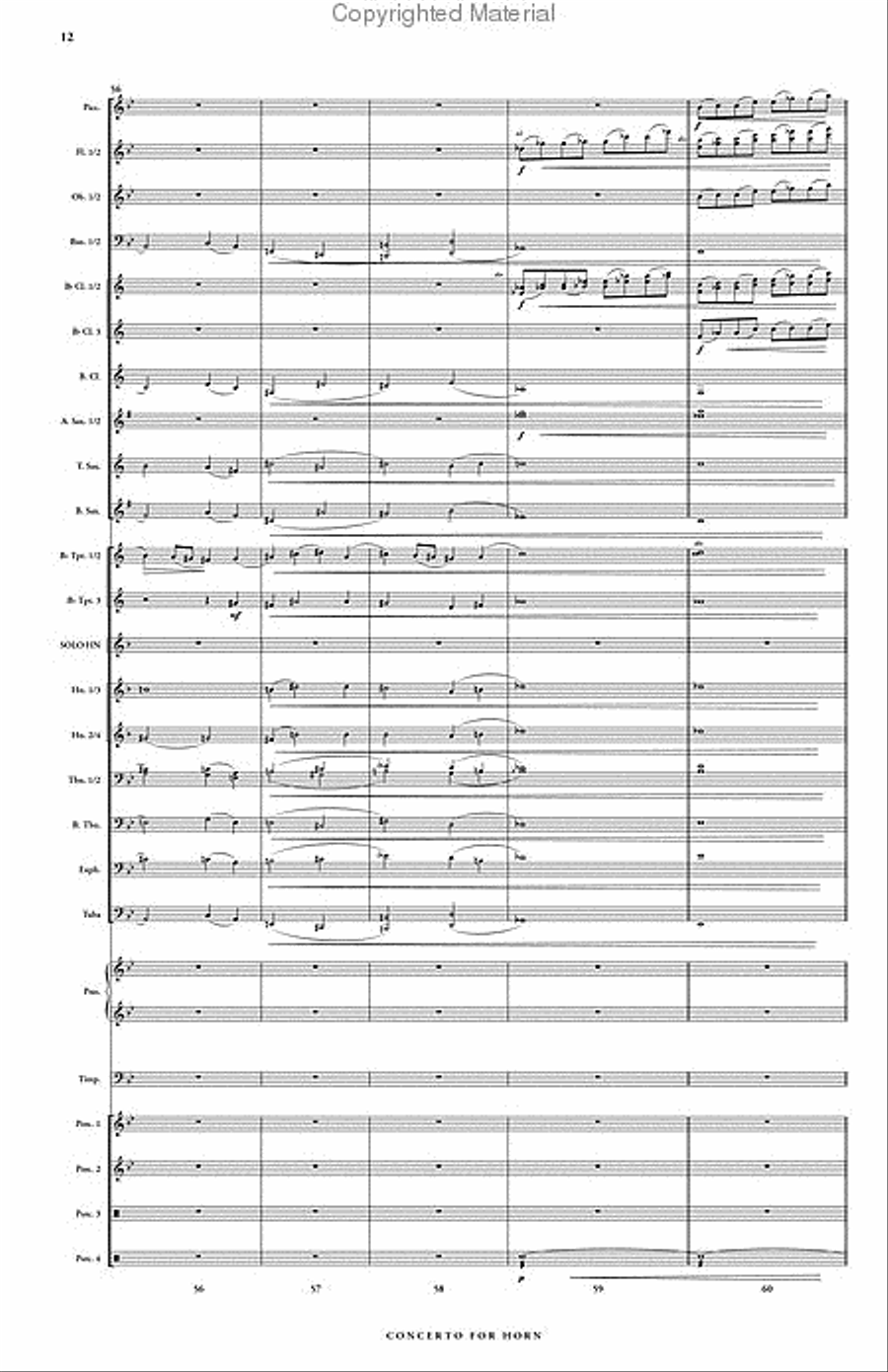 Concerto for Horn & Symphonic Band Concert Band scores gallery preview page 13
