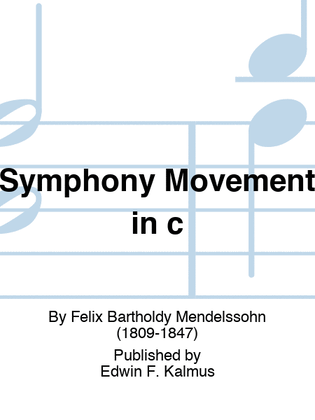 Book cover for Symphony Movement in c