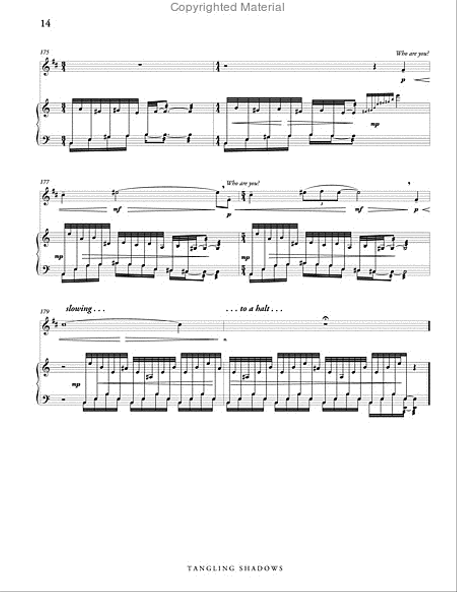 Tangling Shadows, Version 2 (score & parts) B-Flat Clarinet scores gallery preview page 15