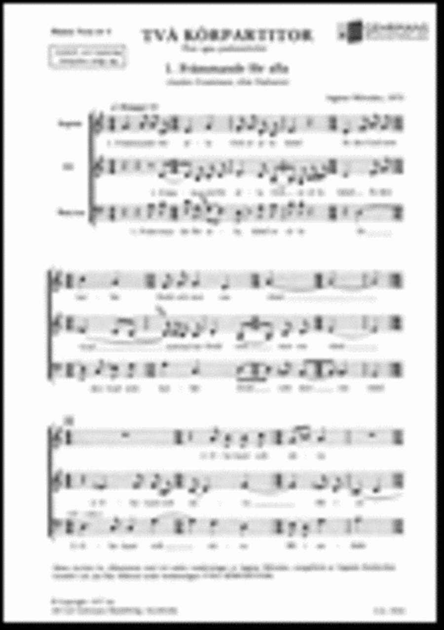 Tva korpartitor Tva korpartitor Divisi scores gallery preview page 1