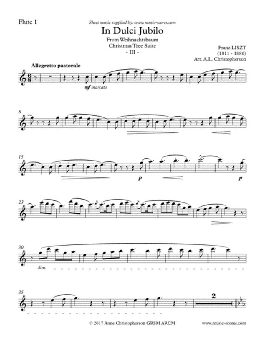 In Dulci Jubilo - 4 Flutes and Clarinet image number null