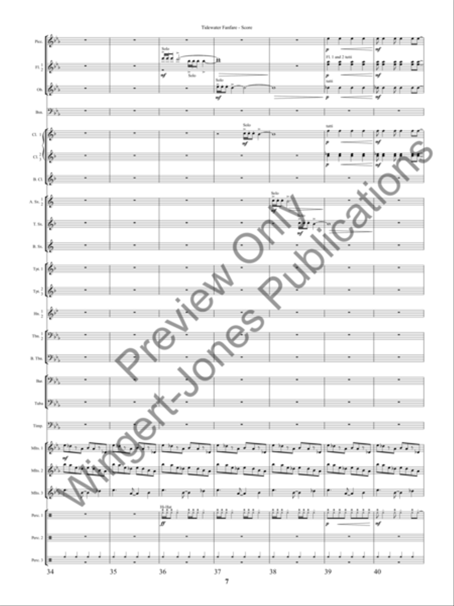 Tidewater Fanfre (Score) Concert Band scores gallery preview page 10