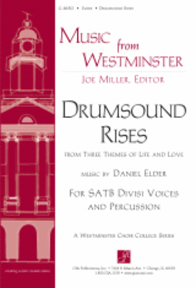 Drumsound Rises - Instrument edition