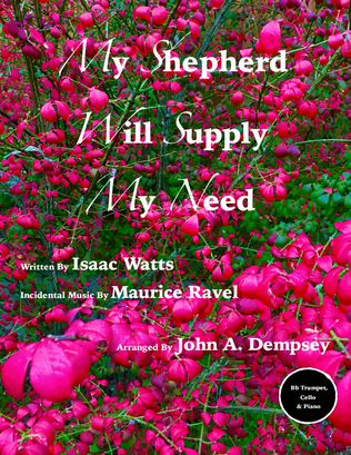 Book cover for My Shepherd Will Supply My Need (Psalm 23): Trumpet, Cello and Piano ( in C major)