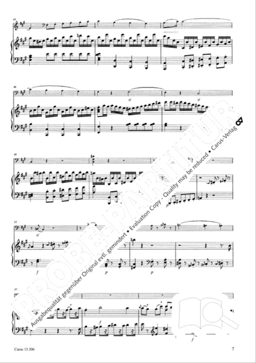 Grand Duo fur Violoncello und Klavier String Duet scores gallery preview page 8
