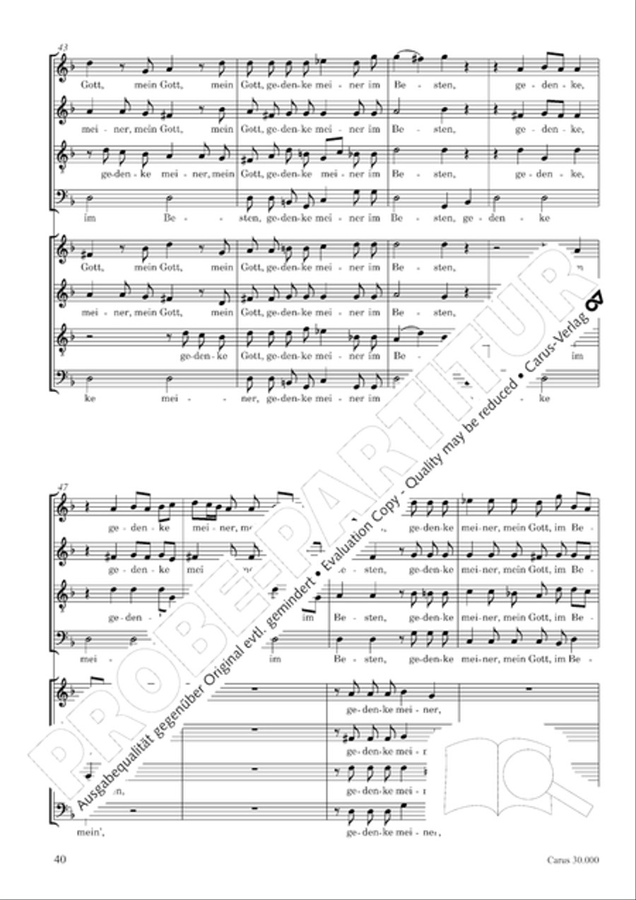 J.L. Bach: The complete motets Choir scores gallery preview page 47