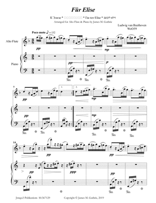 Beethoven: Für Elise for Alto Flute & Piano