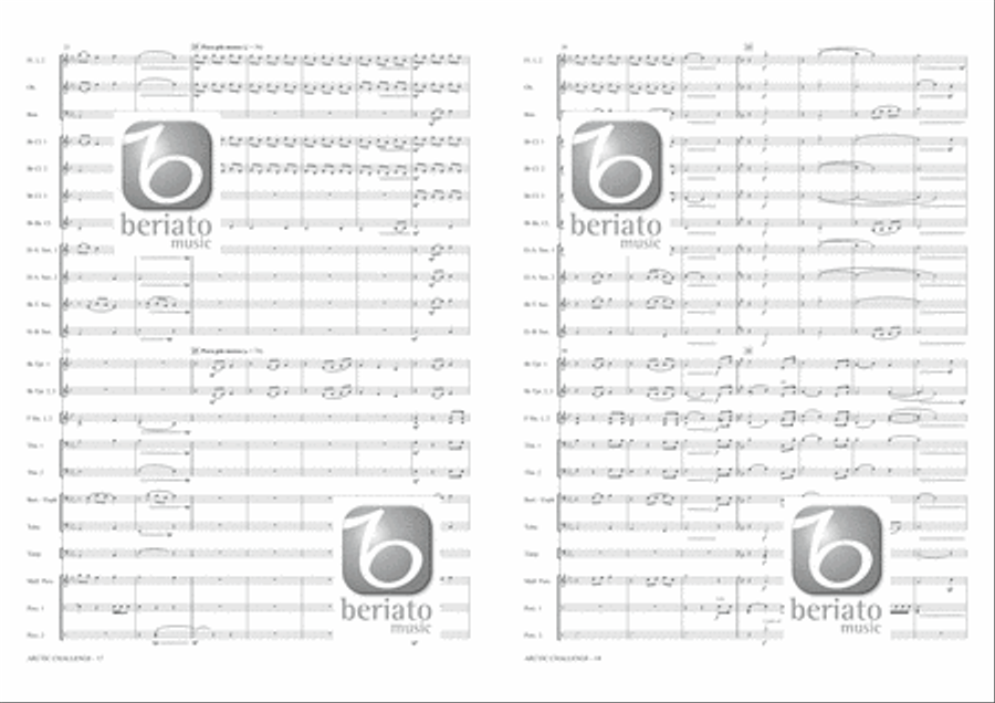 Arctic Challenge Arctic Challenge Concert Band scores gallery preview page 10