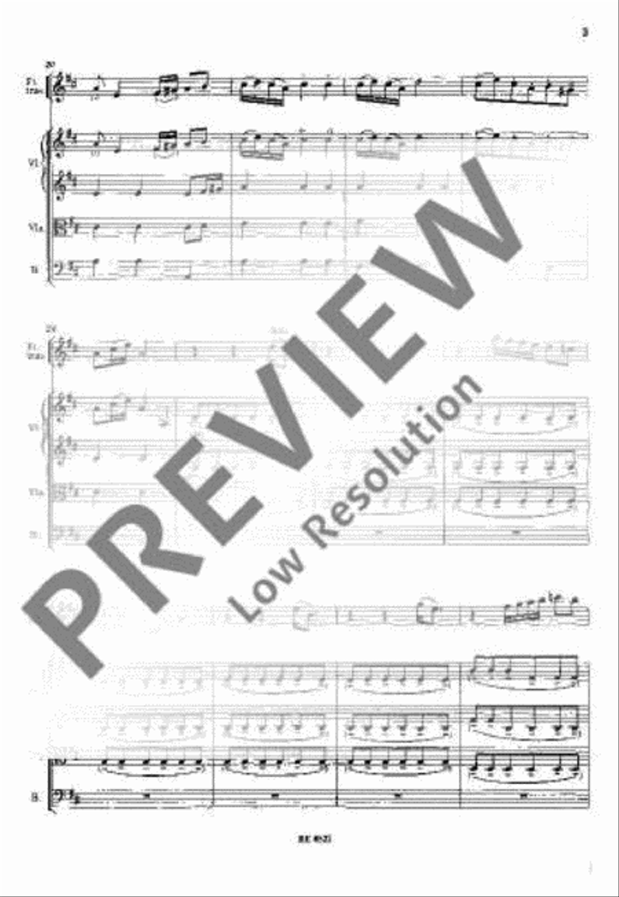 Concerto D major String Orchestra scores gallery preview page 6