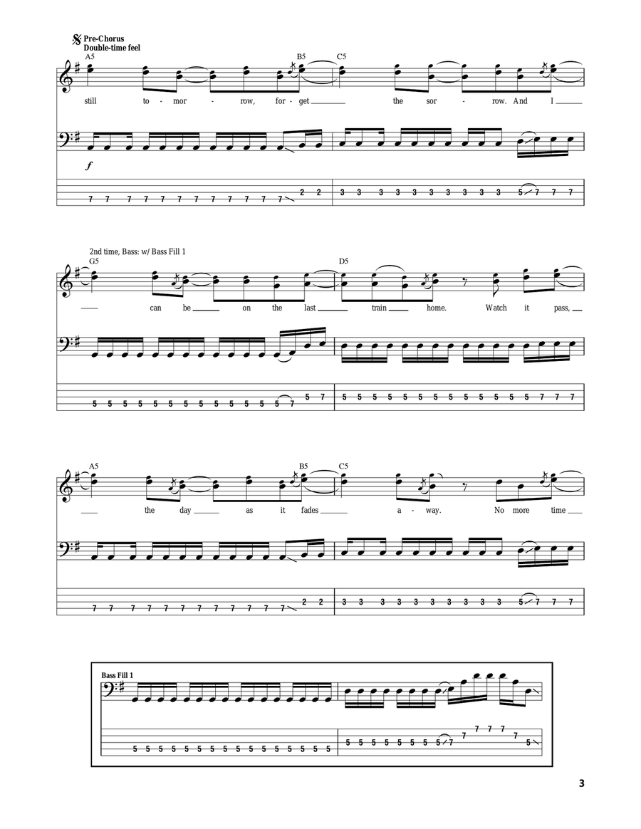 Last Train Home Acoustic Guitar scores gallery preview page 3
