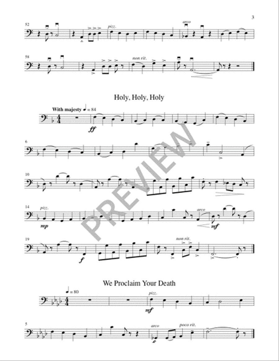 A Community Mass - String edition Flute scores gallery preview page 20
