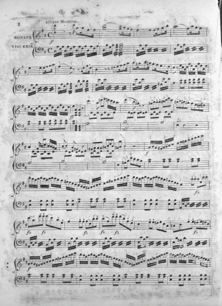 Vigurie's Favorite Sonata for the Piano Forte