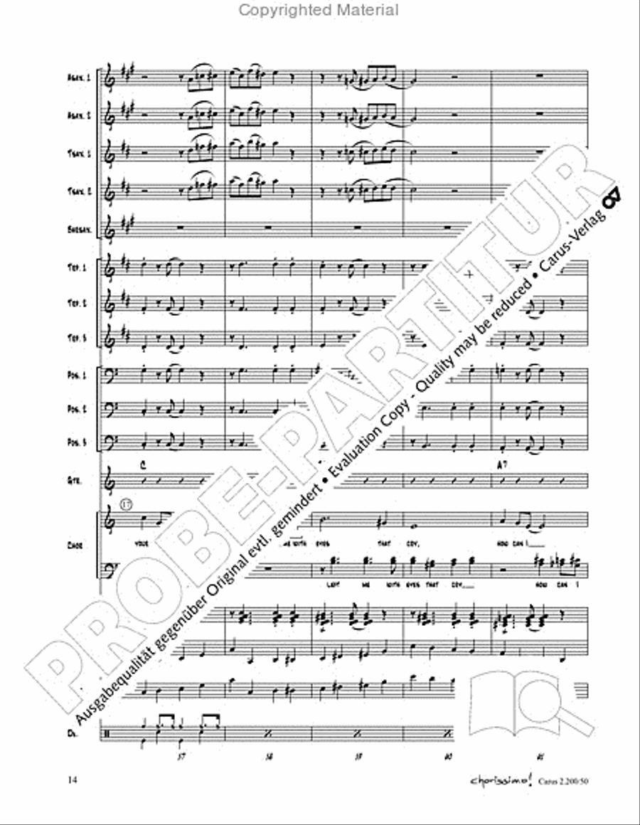 Chorissimo. Instrumentale Begleitarrangements fur Small Bigband, Vol. 3 Big Band scores gallery preview page 12