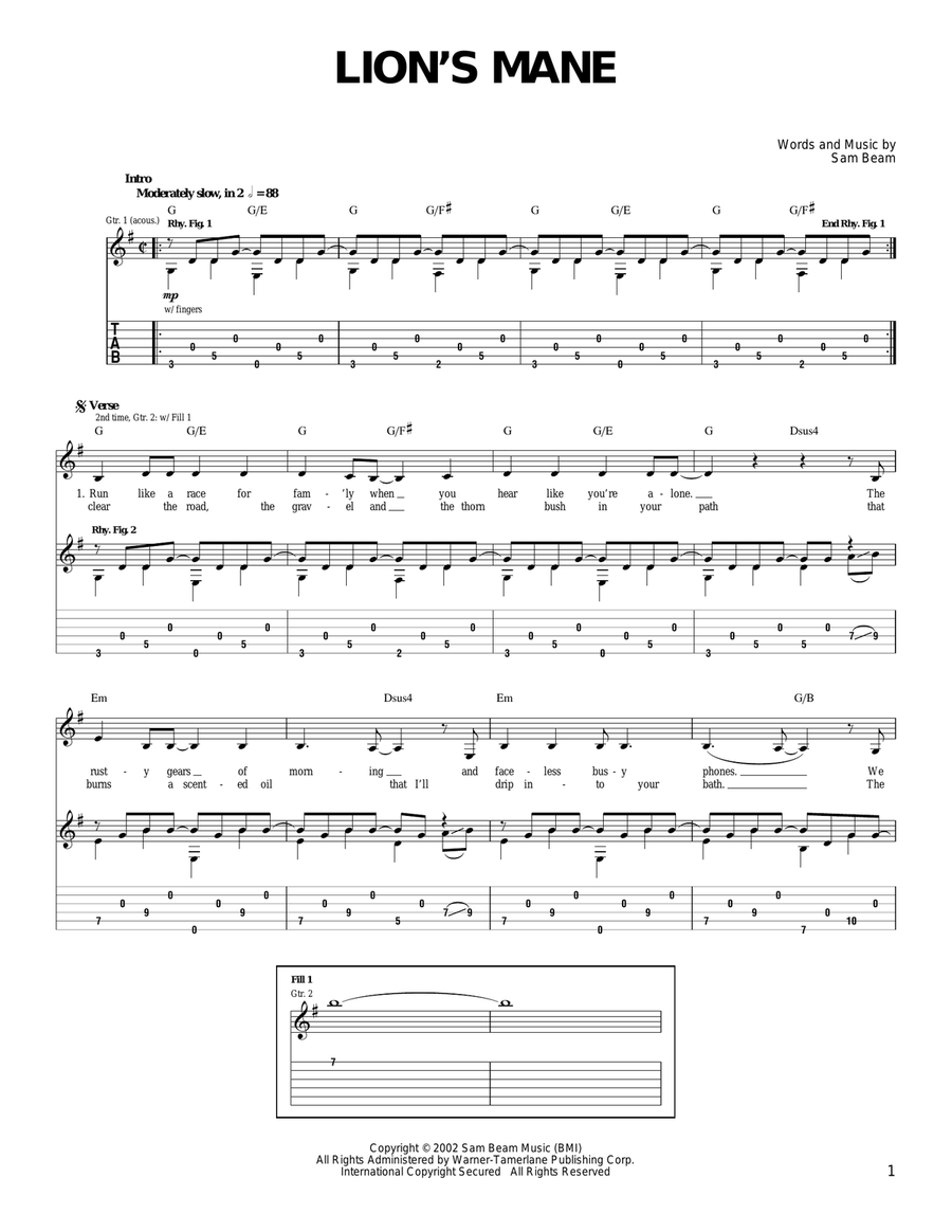 Lion's Mane Acoustic Guitar scores gallery preview page 1