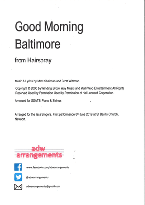 Book cover for Good Morning Baltimore