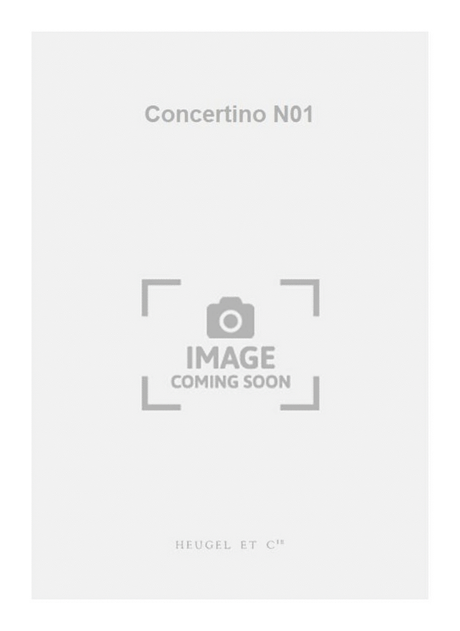 Concertino N01