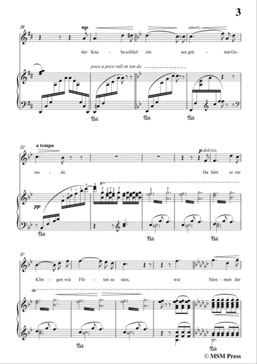 Liszt-Der fischerknabe in D Major,for Voice and Piano Voice Solo scores gallery preview page 5