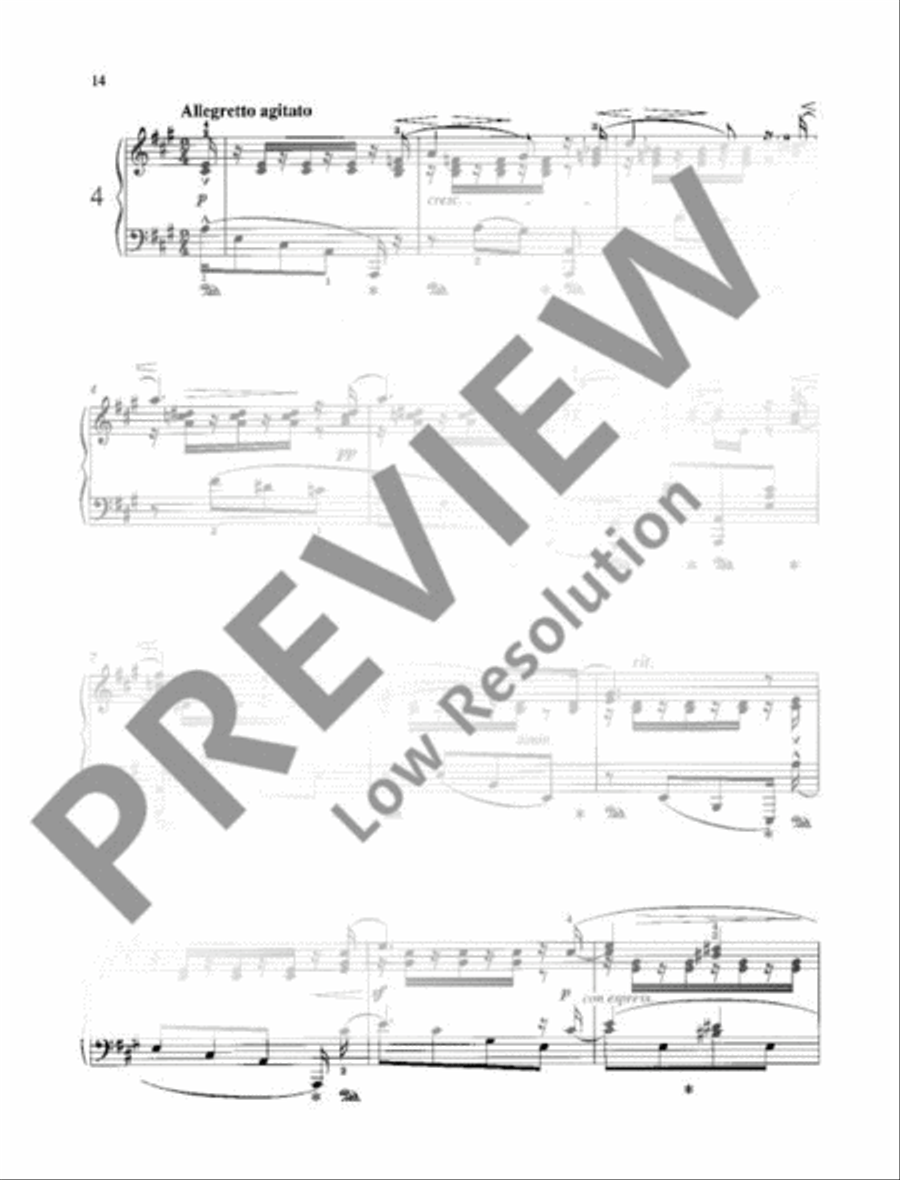 Preludes Piano Solo scores gallery preview page 15