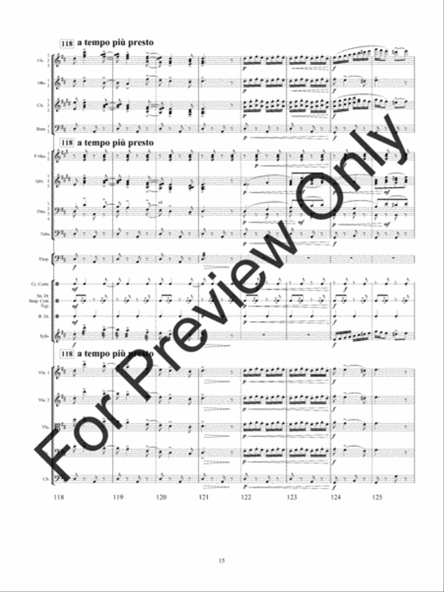 Csardas Full Orchestra scores gallery preview page 19