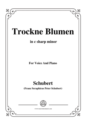 Book cover for Schubert-Trockne Blumen,from 'Die Schöne Müllerin',Op.25 No.18,in c sharp minor,for Voice&Piano
