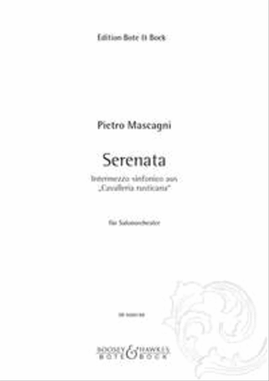 Intermezzo sinfonico und Serenata Orchestra scores gallery preview page 1
