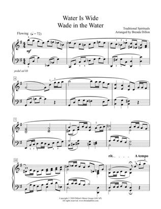 Book cover for Water Is Wide/Wade in the Water