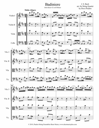 Bach Badiniere for String Quartet